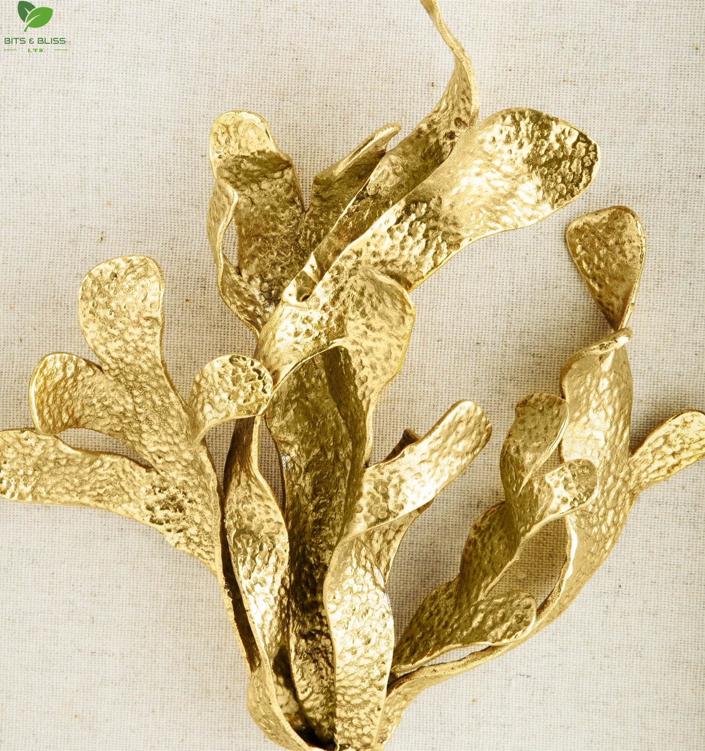 Seaweed Fabric Shadow Box