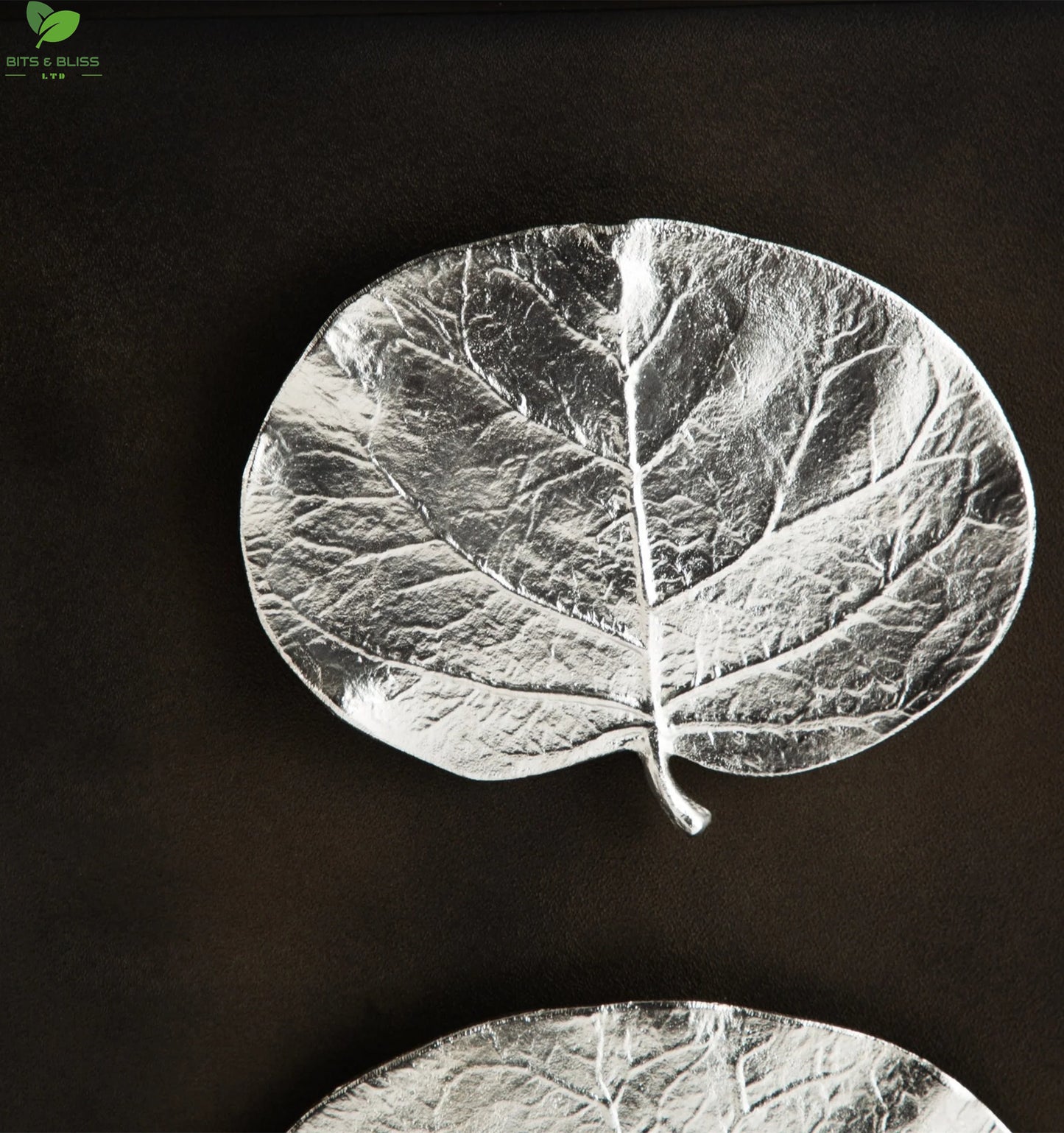 Plant Leaf Silver Shadow Boxes