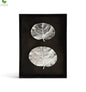 Plant Leaf Silver Shadow Boxes