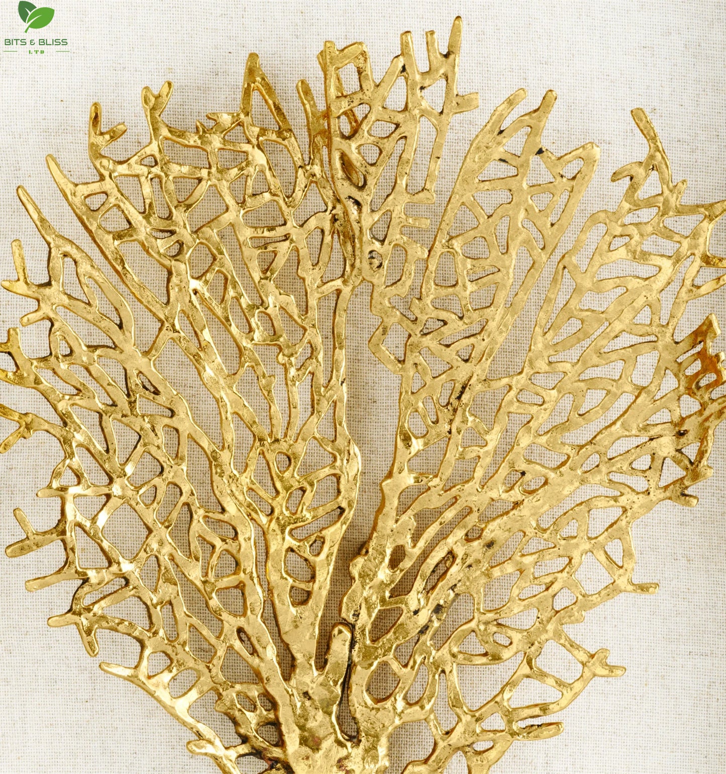 Coral Shadow Box