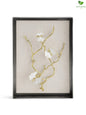 Butterfly Shadow Box