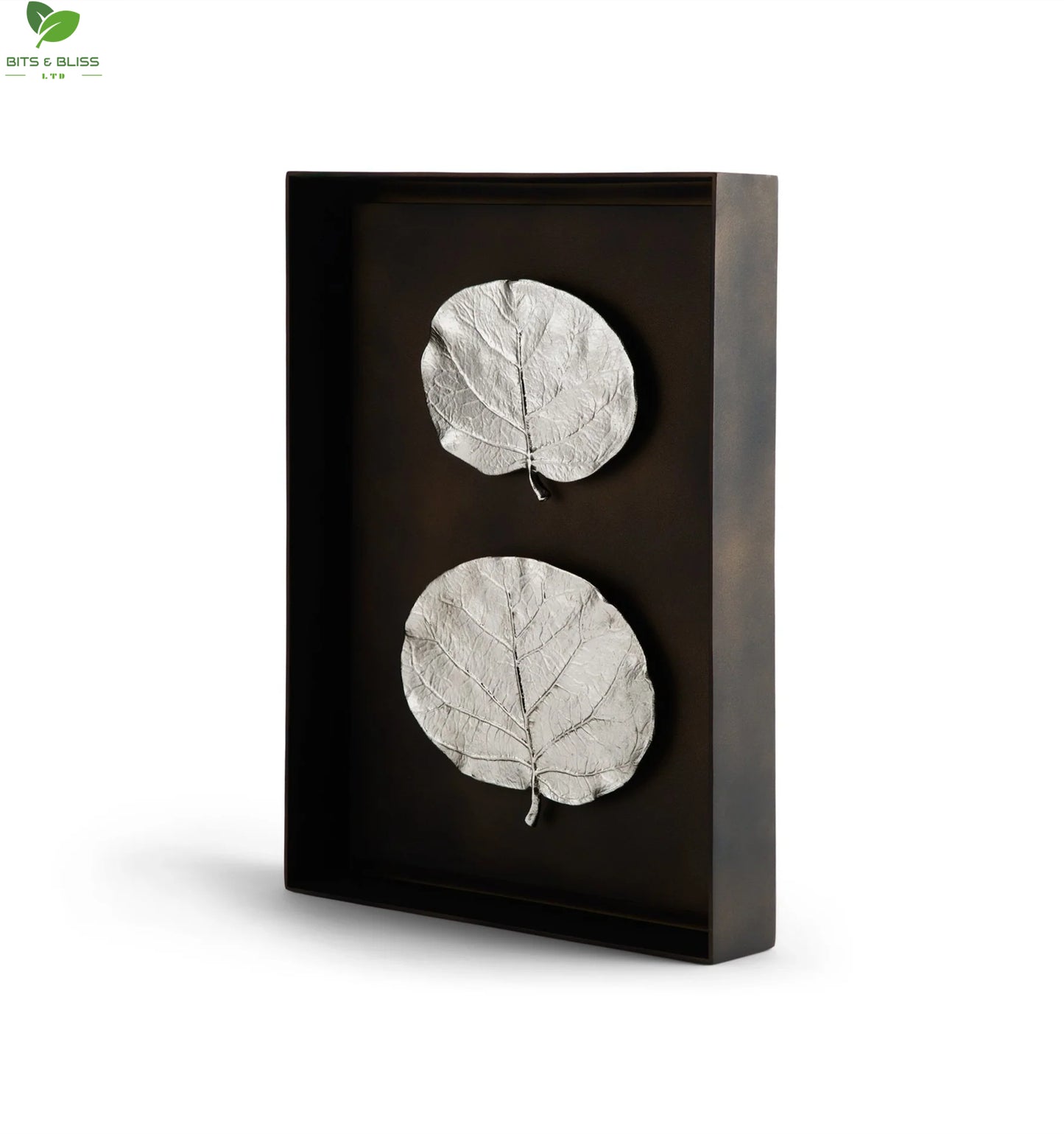 Plant Leaf Silver Shadow Boxes