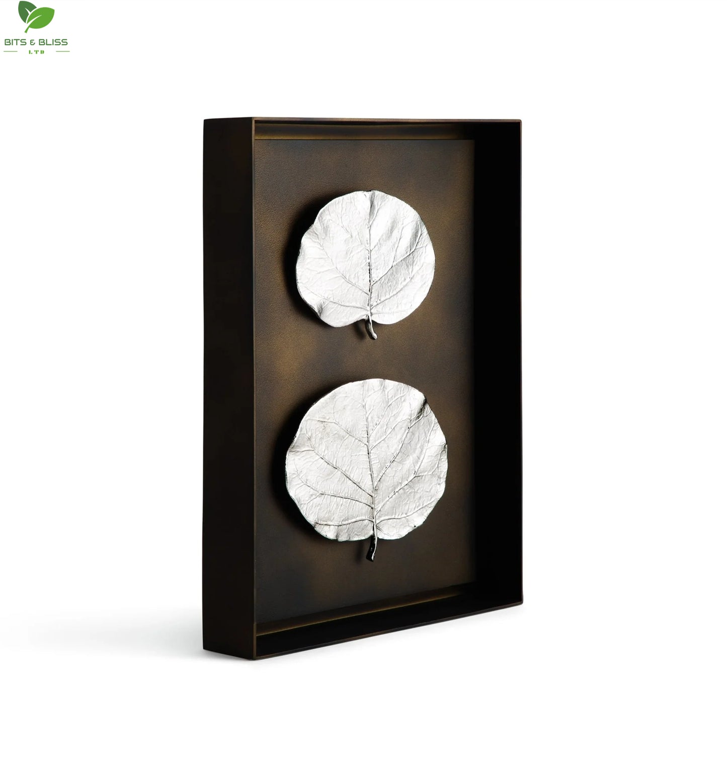 Plant Leaf Silver Shadow Boxes