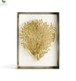 Coral Shadow Box